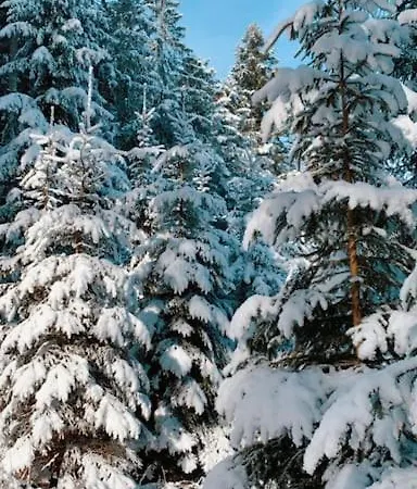 Winklergut Hideaway Breakfast Included فيلة