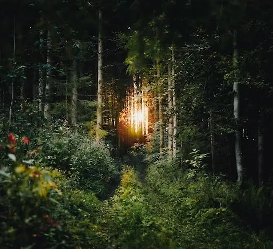 Villa Winklergut Farm Austria - Sh *