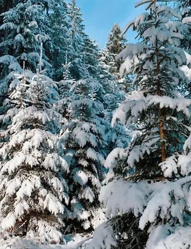 Winklergut Farm Austria - Sh Villa