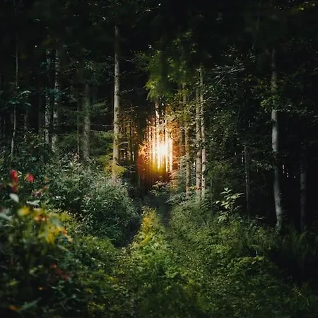 Villa Winklergut Farm Austria - Sh *