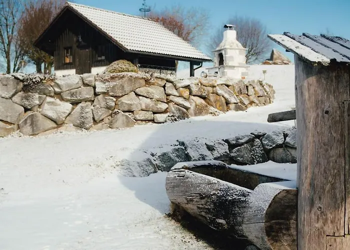 Winklergut Farm Austria - Sh Iglbach