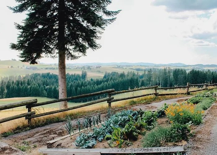 Villa Winklergut Farm Austria - Sh *